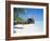 Hut on the Beach-null-Framed Photographic Print