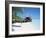 Hut on the Beach-null-Framed Photographic Print