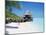 Hut on the Beach-null-Mounted Photographic Print