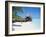 Hut on the Beach-null-Framed Photographic Print