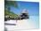 Hut on the Beach-null-Mounted Photographic Print