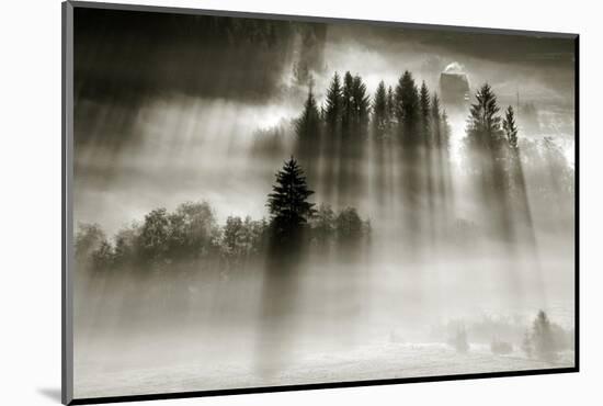 Hut-Marcin Sobas-Mounted Photographic Print