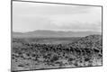 Photographic Print