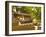 Huwon Gardens, Changdeokgung Palace, Seoul, South Korea-Ellen Clark-Framed Photographic Print