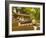 Huwon Gardens, Changdeokgung Palace, Seoul, South Korea-Ellen Clark-Framed Photographic Print