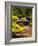 Huwon Gardens, Changdeokgung Palace, Seoul, South Korea-Ellen Clark-Framed Photographic Print