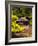 Huwon Gardens, Changdeokgung Palace, Seoul, South Korea-Ellen Clark-Framed Photographic Print