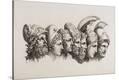 Stretched Canvas Print