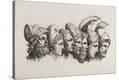 Stretched Canvas Print
