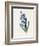 Hyacinth, 1826-Louise D'Orleans-Framed Giclee Print