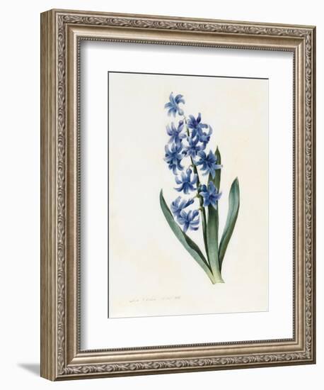 Hyacinth, 1826-Louise D'Orleans-Framed Giclee Print