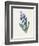 Hyacinth, 1826-Louise D'Orleans-Framed Giclee Print