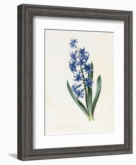 Hyacinth, 1826-Louise D'Orleans-Framed Giclee Print