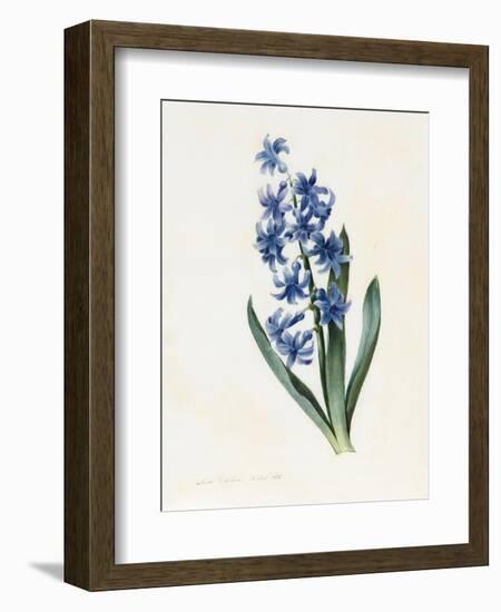 Hyacinth, 1826-Louise D'Orleans-Framed Giclee Print