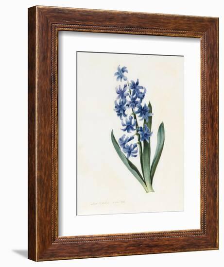 Hyacinth, 1826-Louise D'Orleans-Framed Giclee Print