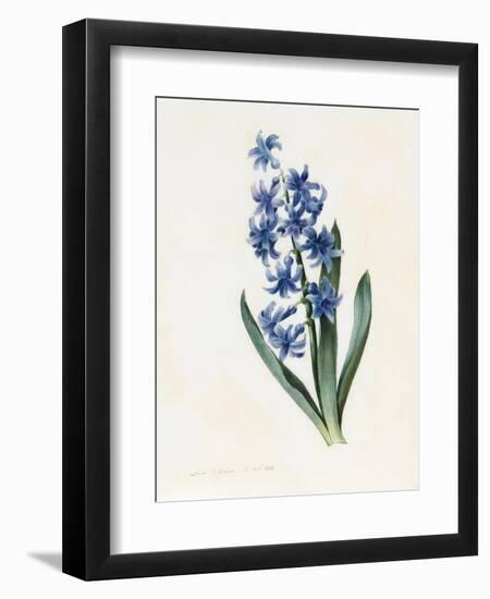 Hyacinth, 1826-Louise D'Orleans-Framed Giclee Print