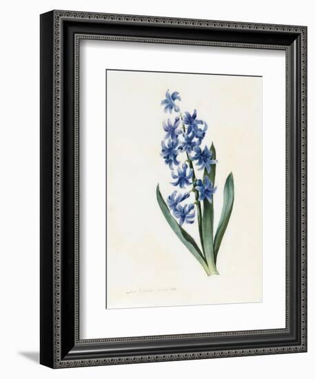 Hyacinth, 1826-Louise D'Orleans-Framed Giclee Print