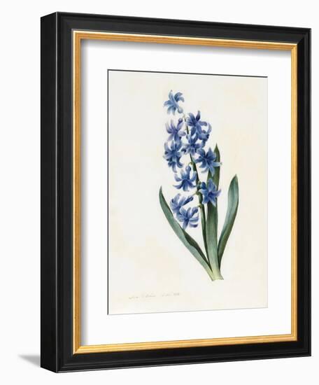 Hyacinth, 1826-Louise D'Orleans-Framed Giclee Print