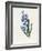 Hyacinth, 1826-Louise D'Orleans-Framed Giclee Print