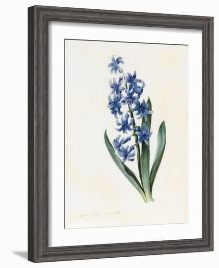 Hyacinth, 1826-Louise D'Orleans-Framed Giclee Print