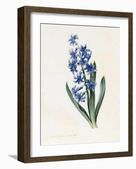 Hyacinth, 1826-Louise D'Orleans-Framed Giclee Print