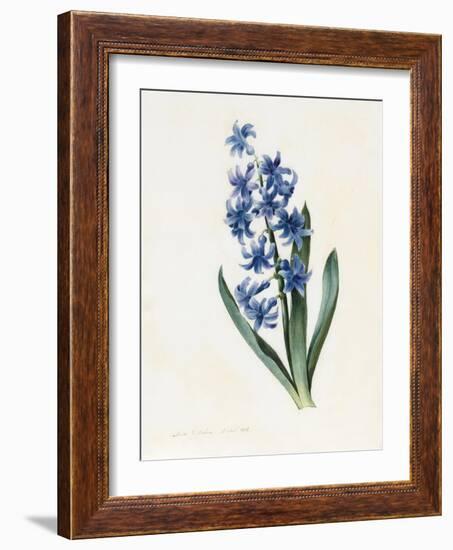 Hyacinth, 1826-Louise D'Orleans-Framed Giclee Print