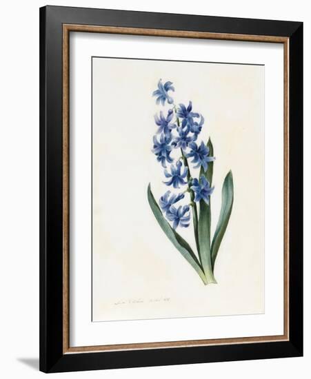 Hyacinth, 1826-Louise D'Orleans-Framed Giclee Print