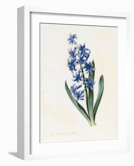 Hyacinth, 1826-Louise D'Orleans-Framed Giclee Print