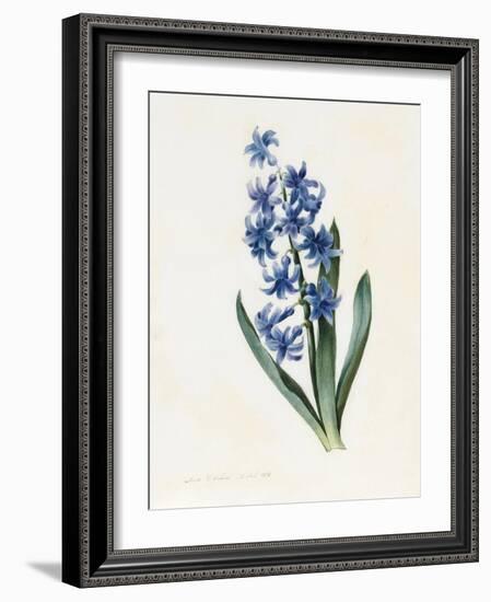 Hyacinth, 1826-Louise D'Orleans-Framed Giclee Print