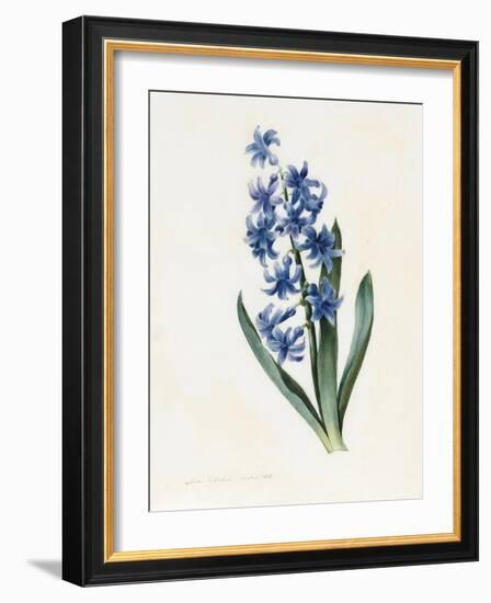 Hyacinth, 1826-Louise D'Orleans-Framed Giclee Print