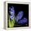 Hyacinth 3-Magda Indigo-Framed Stretched Canvas