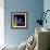 Hyacinth 3-Magda Indigo-Framed Photographic Print displayed on a wall