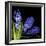 Hyacinth 3-Magda Indigo-Framed Photographic Print