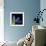 Hyacinth 3-Magda Indigo-Framed Photographic Print displayed on a wall