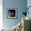 Hyacinth 3-Magda Indigo-Framed Photographic Print displayed on a wall