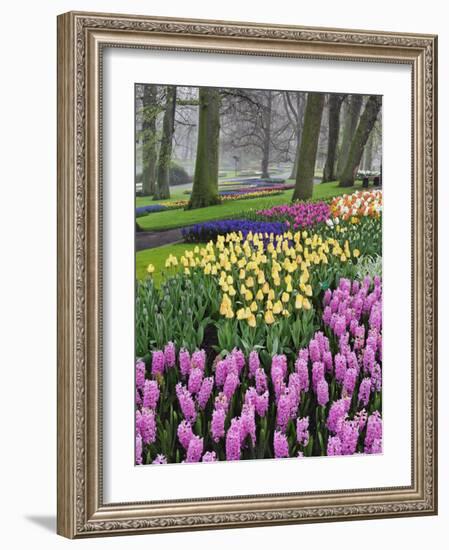 Hyacinth and tulip flowers, Keukenhof Gardens, Lisse, Netherlands-Adam Jones-Framed Photographic Print