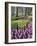 Hyacinth and tulip flowers, Keukenhof Gardens, Lisse, Netherlands-Adam Jones-Framed Photographic Print