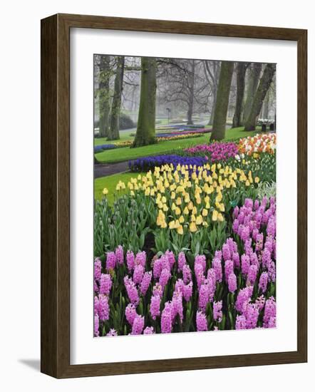 Hyacinth and tulip flowers, Keukenhof Gardens, Lisse, Netherlands-Adam Jones-Framed Photographic Print