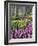 Hyacinth and tulip flowers, Keukenhof Gardens, Lisse, Netherlands-Adam Jones-Framed Photographic Print