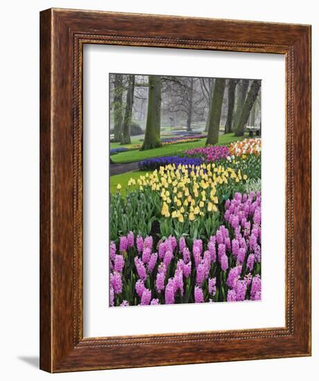 Hyacinth and tulip flowers, Keukenhof Gardens, Lisse, Netherlands-Adam Jones-Framed Photographic Print