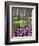 Hyacinth and tulip flowers, Keukenhof Gardens, Lisse, Netherlands-Adam Jones-Framed Photographic Print