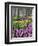 Hyacinth and tulip flowers, Keukenhof Gardens, Lisse, Netherlands-Adam Jones-Framed Photographic Print