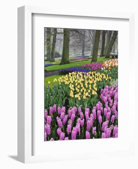 Hyacinth and tulip flowers, Keukenhof Gardens, Lisse, Netherlands-Adam Jones-Framed Photographic Print