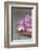 Hyacinth Blossoms and Easter Eggs-Andrea Haase-Framed Photographic Print