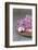 Hyacinth Blossoms and Easter Eggs-Andrea Haase-Framed Photographic Print