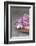 Hyacinth Blossoms and Easter Eggs-Andrea Haase-Framed Photographic Print