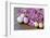 Hyacinth Blossoms and Easter Eggs-Andrea Haase-Framed Photographic Print