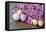 Hyacinth Blossoms and Easter Eggs-Andrea Haase-Framed Premier Image Canvas