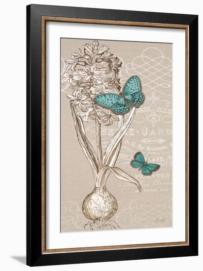 Hyacinth Bulb-Chad Barrett-Framed Art Print