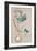 Hyacinth Bulb-Chad Barrett-Framed Premium Giclee Print